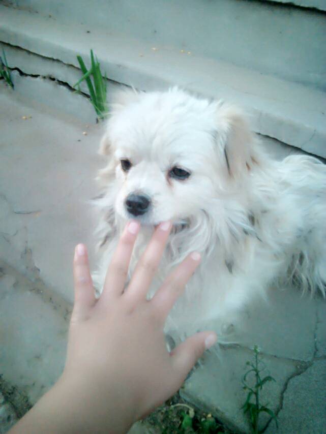 十大外围足球平台app