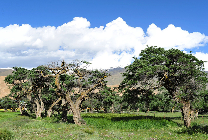 十大外围足球平台app