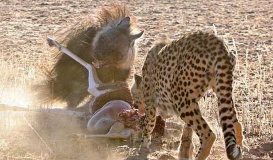 孙耀威电脑离奇被盗 怕私隐外泄报公安备案_十大外围足球平台app(图2) 十大外围足球平台app