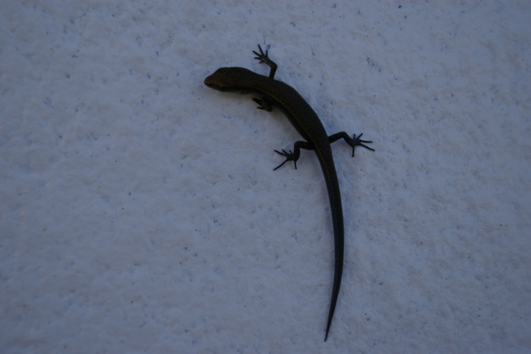 十大外围足球平台app|北检再度提讯李宗瑞 杜诗梅成性爱女主角？